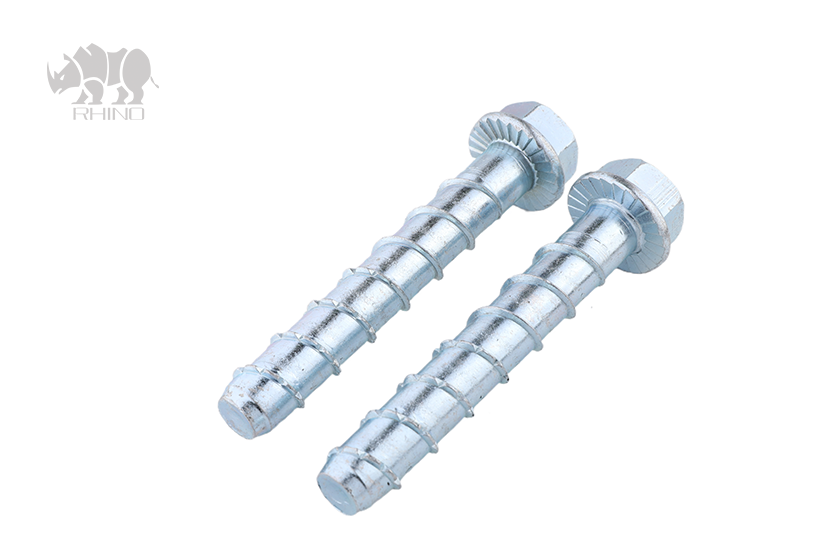 Hexagon Flange Head Concrete Bolt F002