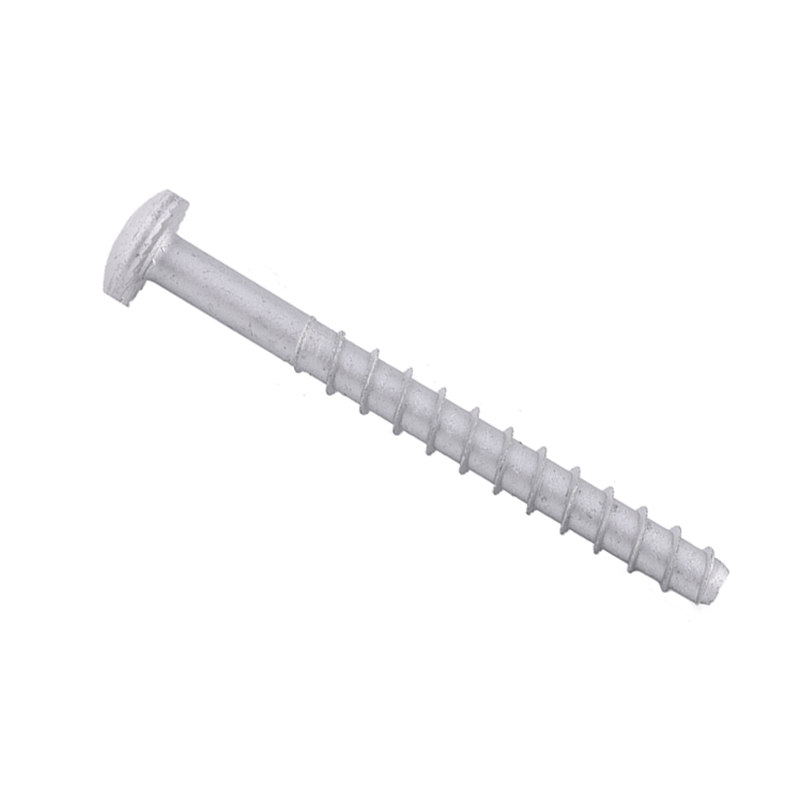Mushroom Head Concrete Anchor Bolt W001